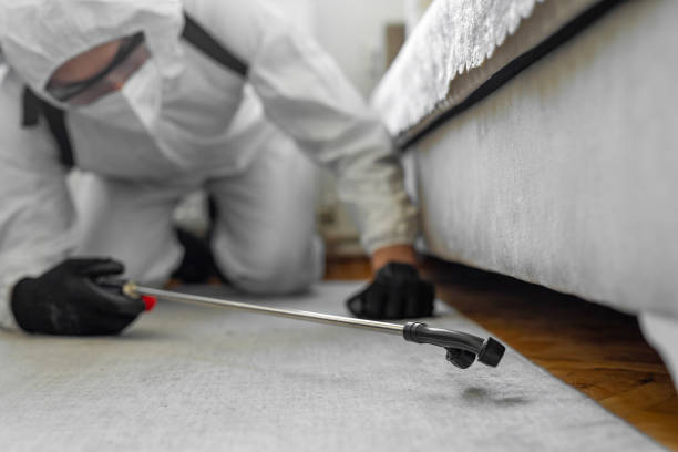 Professional Pest Control technician working in Lynn County County, TX